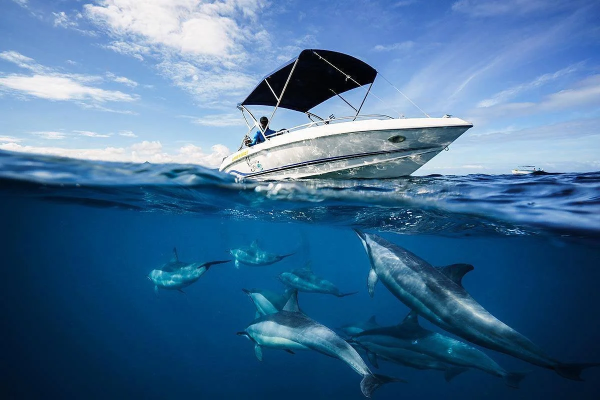 Vitamin Sea