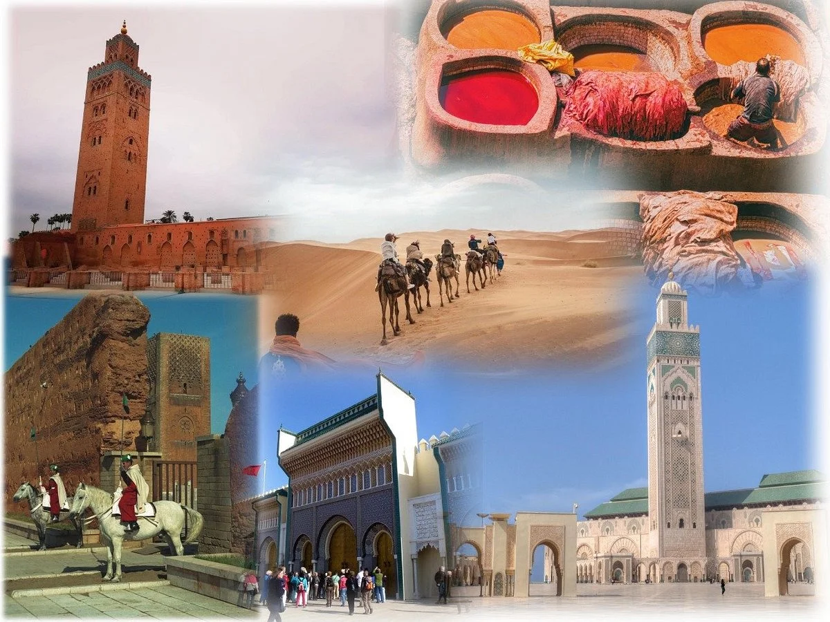 Premium Transfers & Tours - N4Y