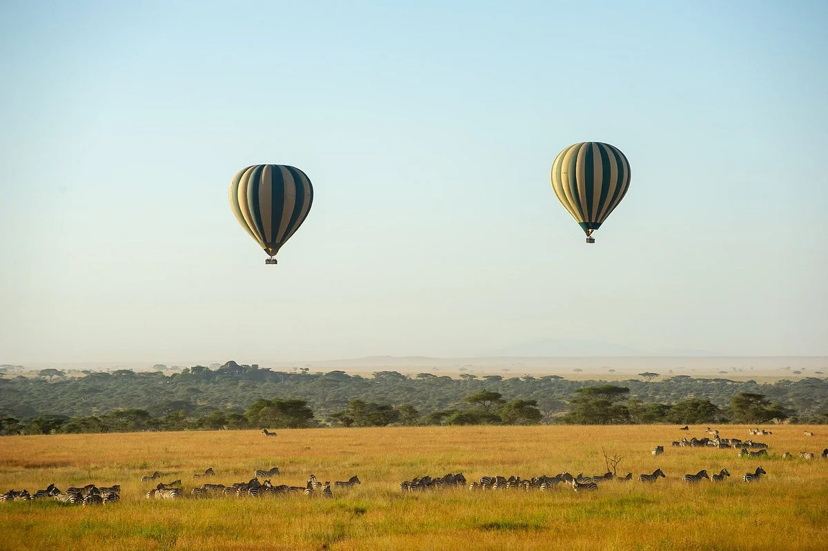 Serengeti Balloon Safaris