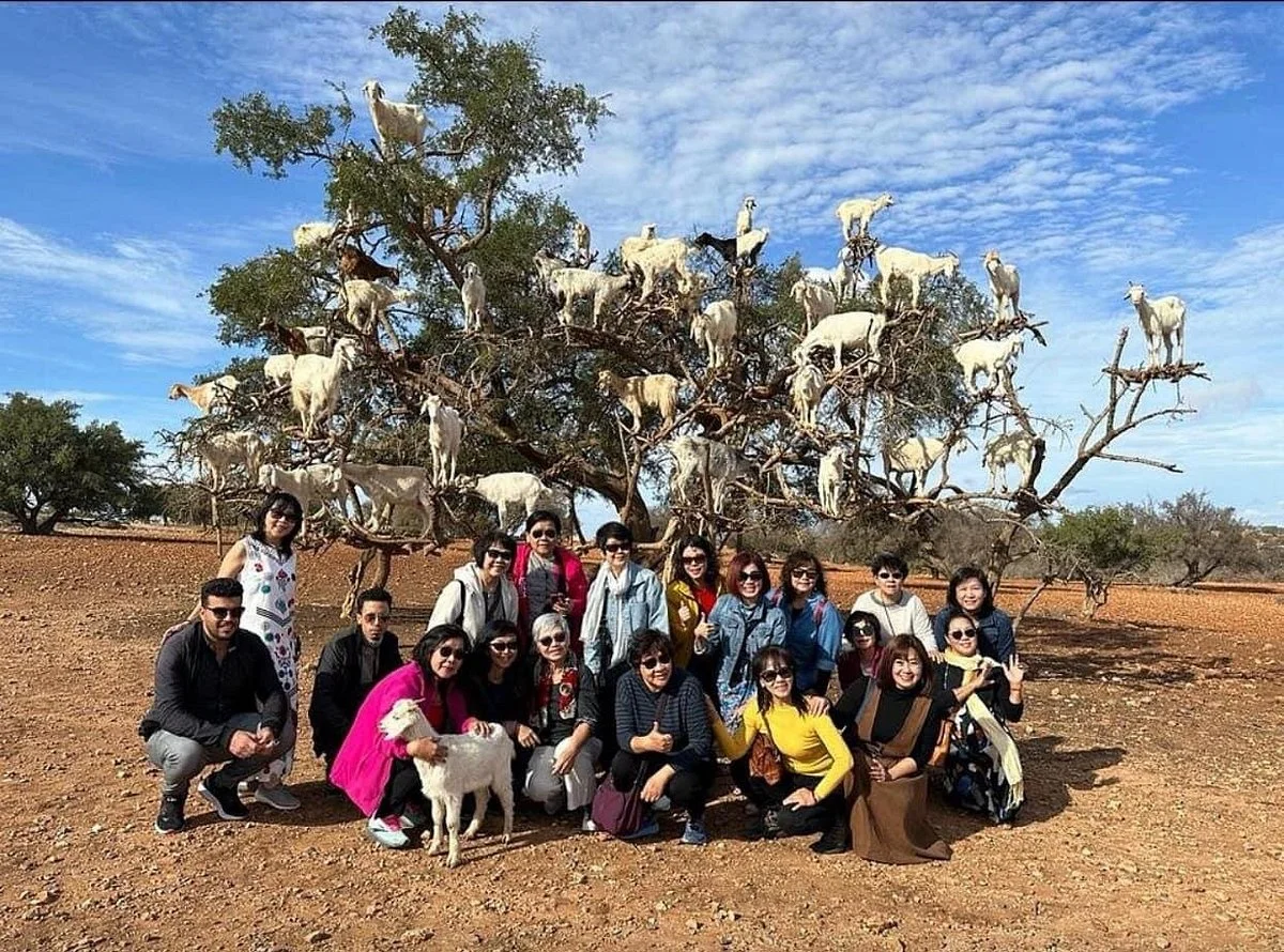 Merzouga Tours