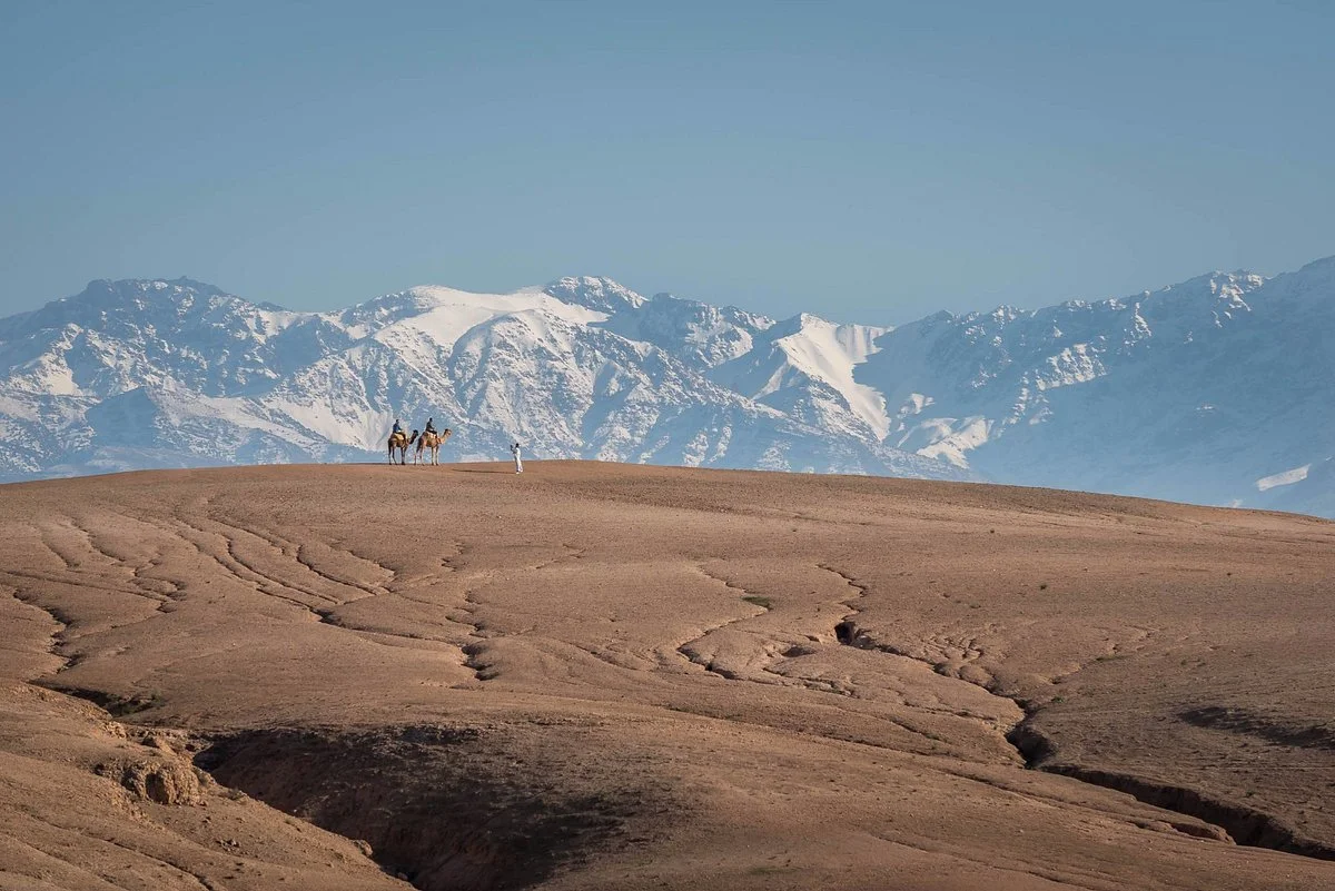 Dunes & Desert