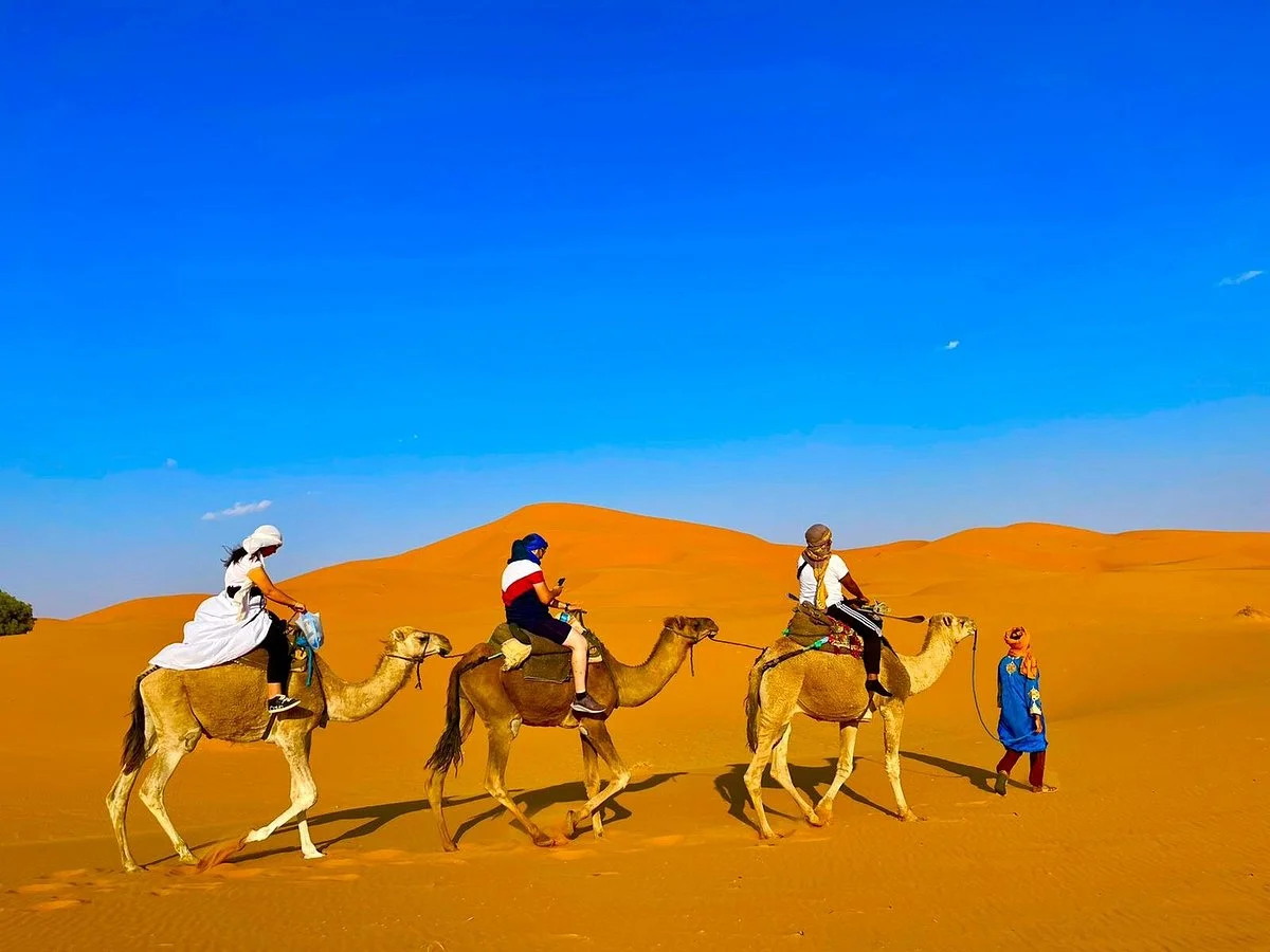 See Around Morocco