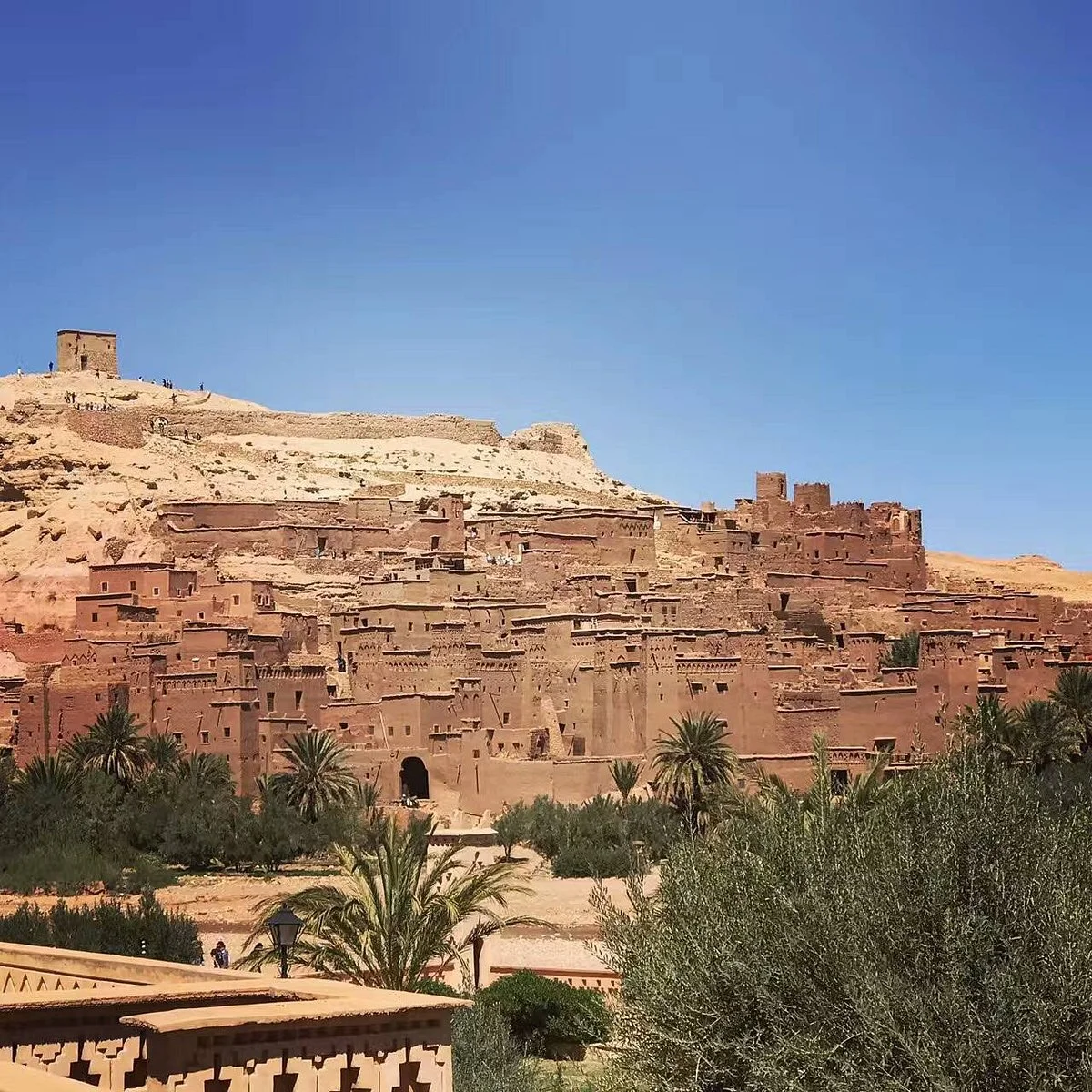 Morocco Tour Experience