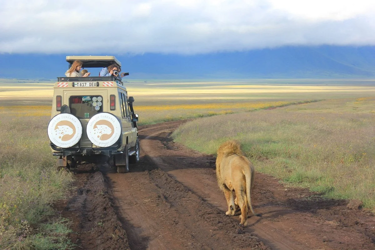 Unlimited Expeditions - The Soul Of Tanzania