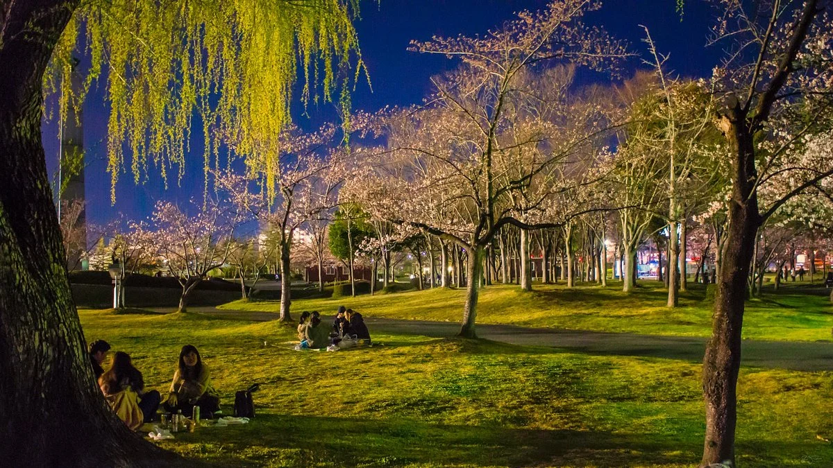 Kaiseiyama Park