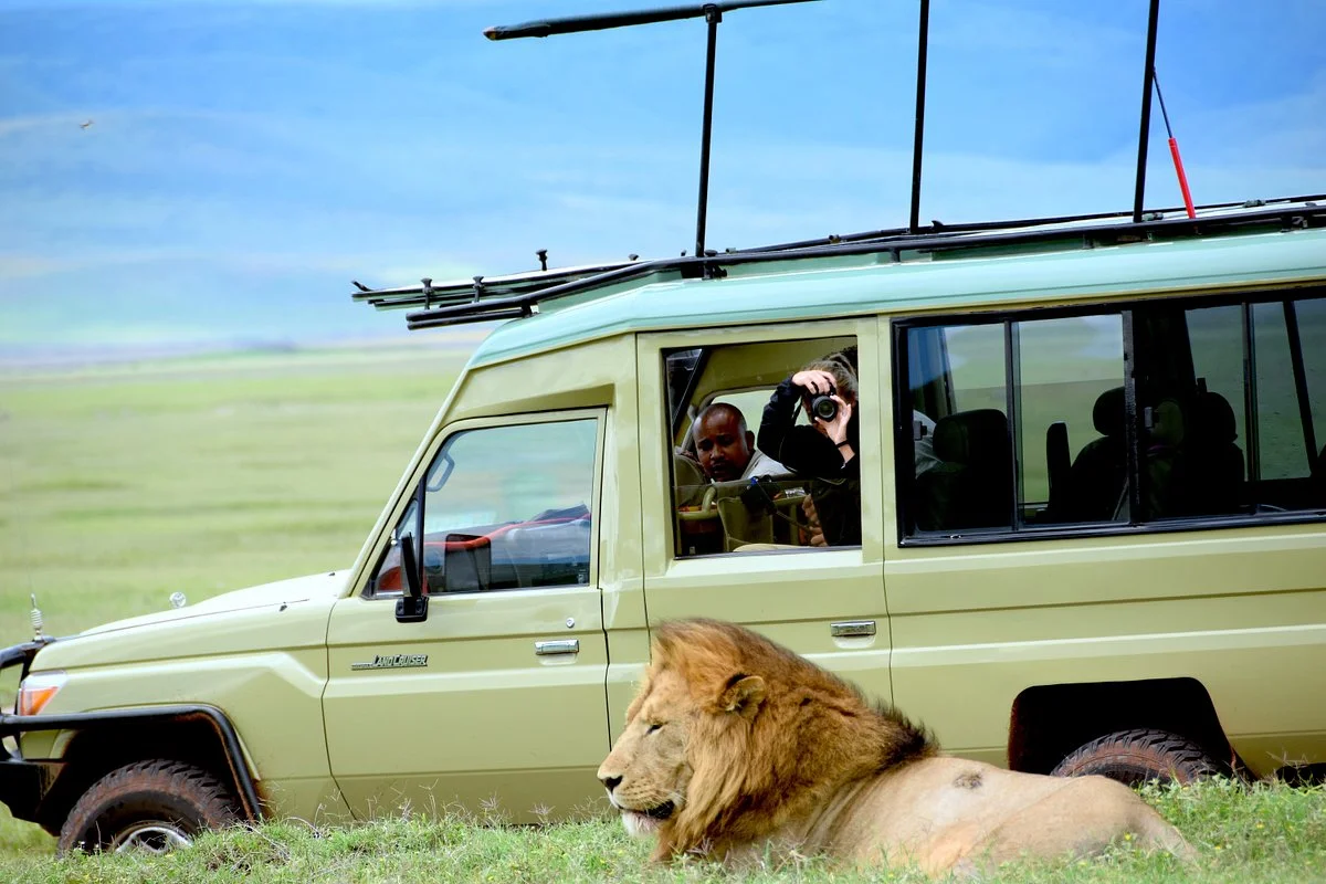 Ngorongoro Crater