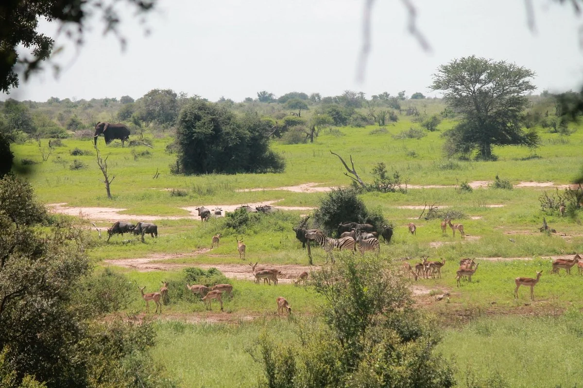 Sweni Wilderness Trail