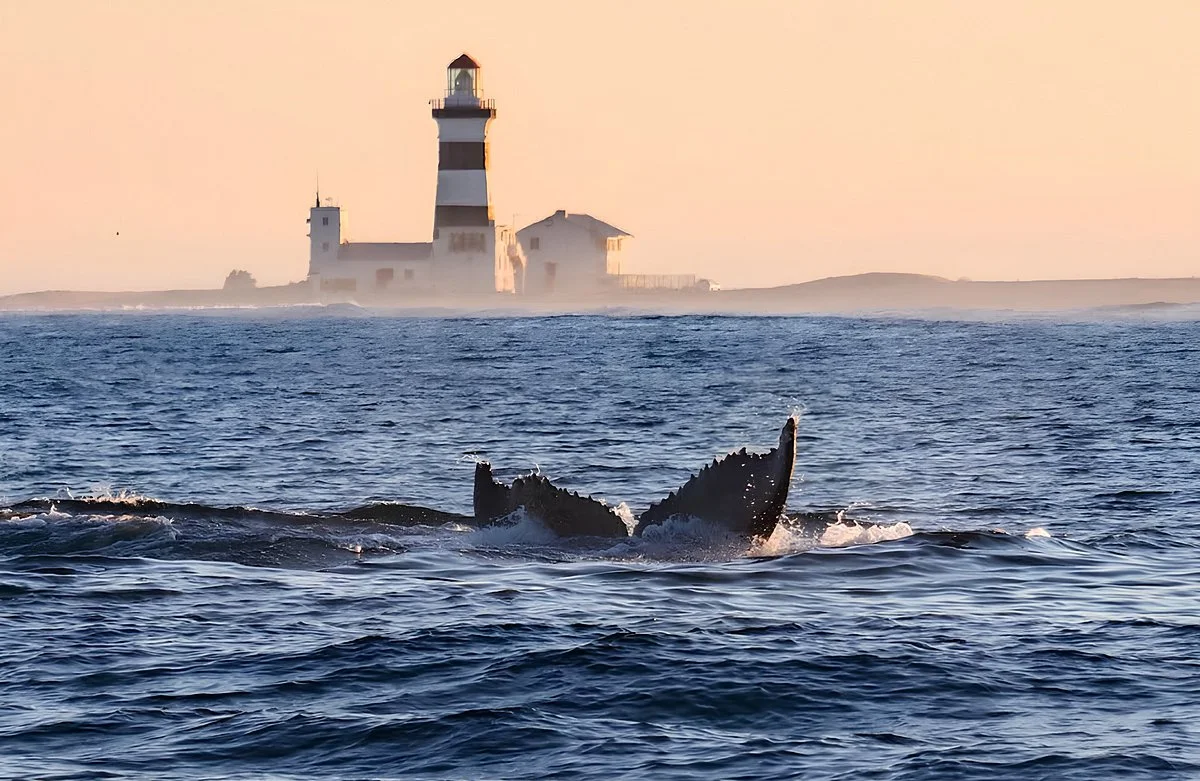 Cape Recife Nature Reserve