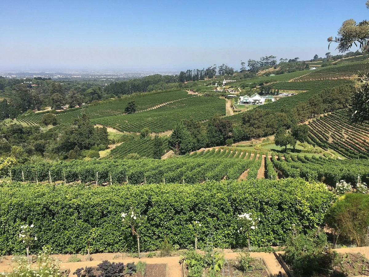 Beau Constantia