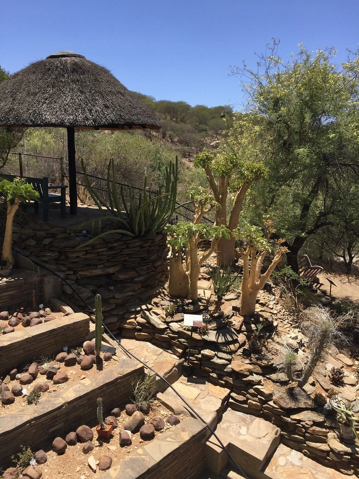 National Botanic Garden of Namibia