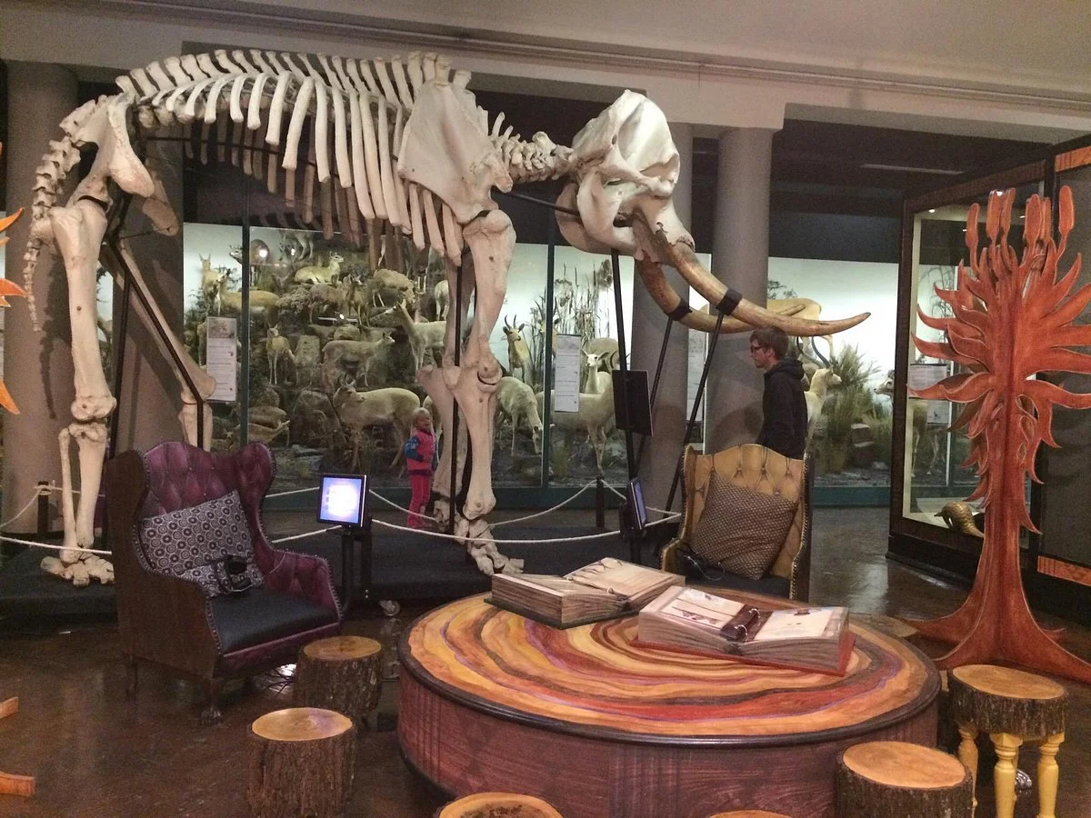 KwaZulu-Natal Museum