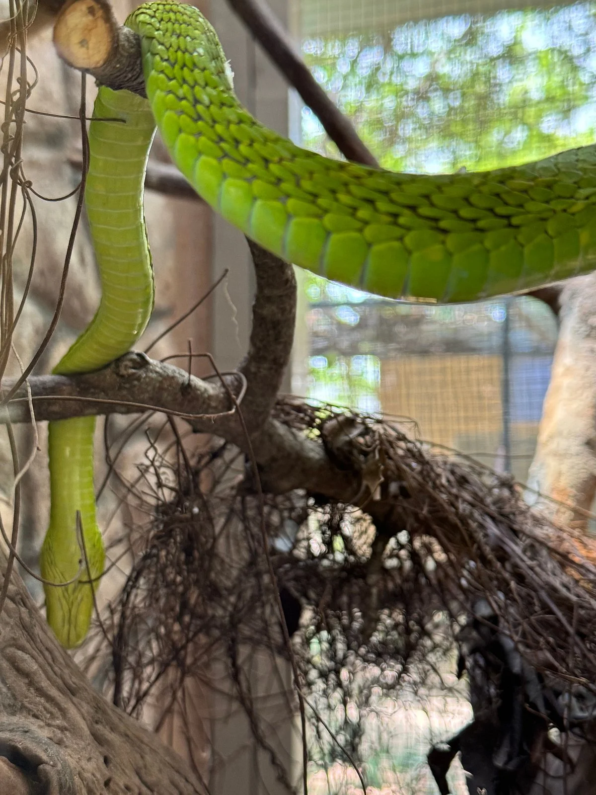 East African Reptile Park