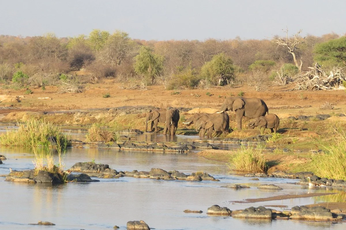 Olifants Wilderness Trail