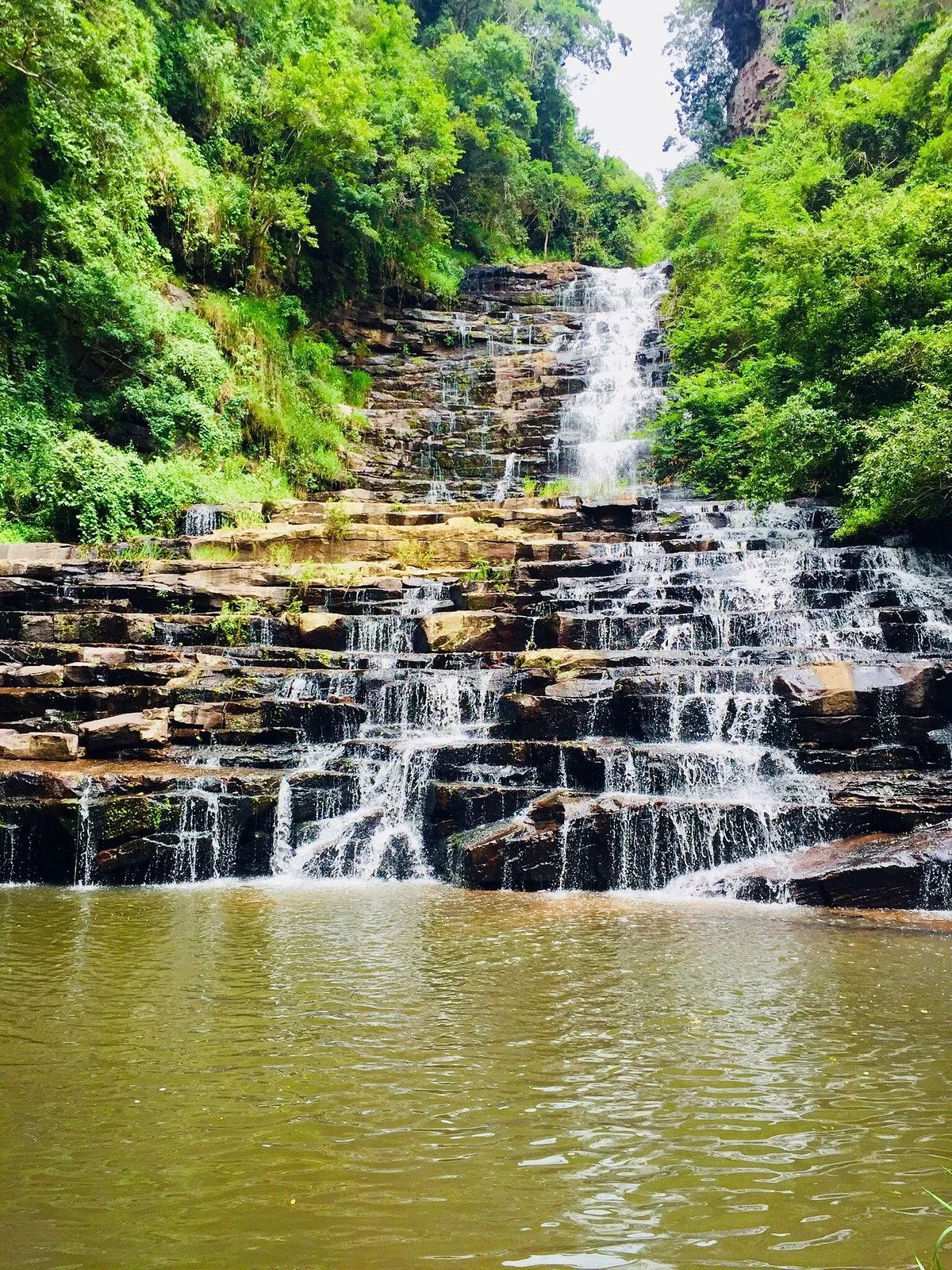 Krantzkloof Nature Reserve