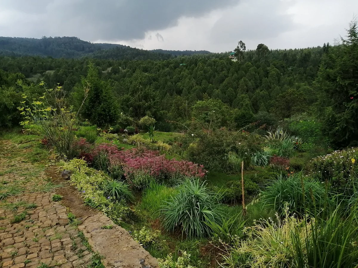 Gullele Botanical Garden