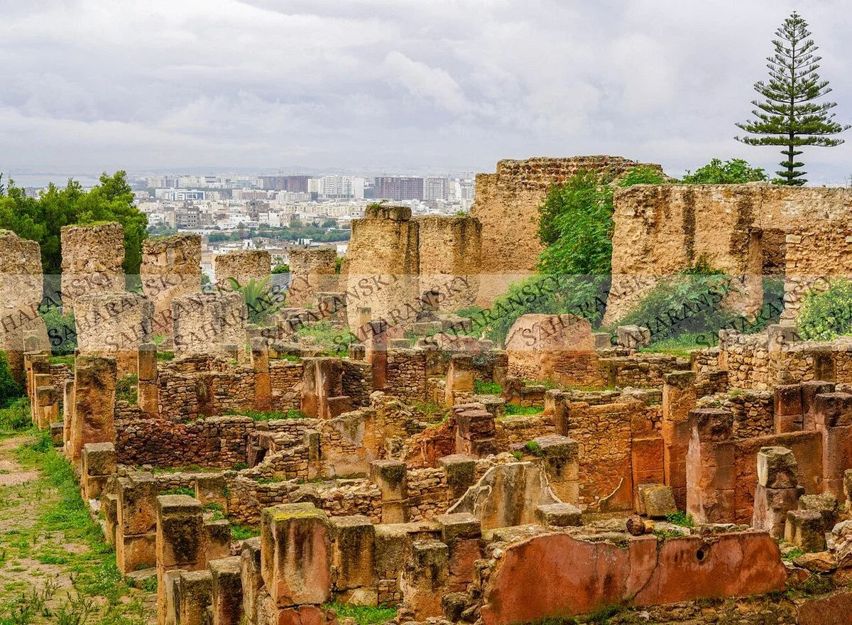 Site Archeologique de Carthage