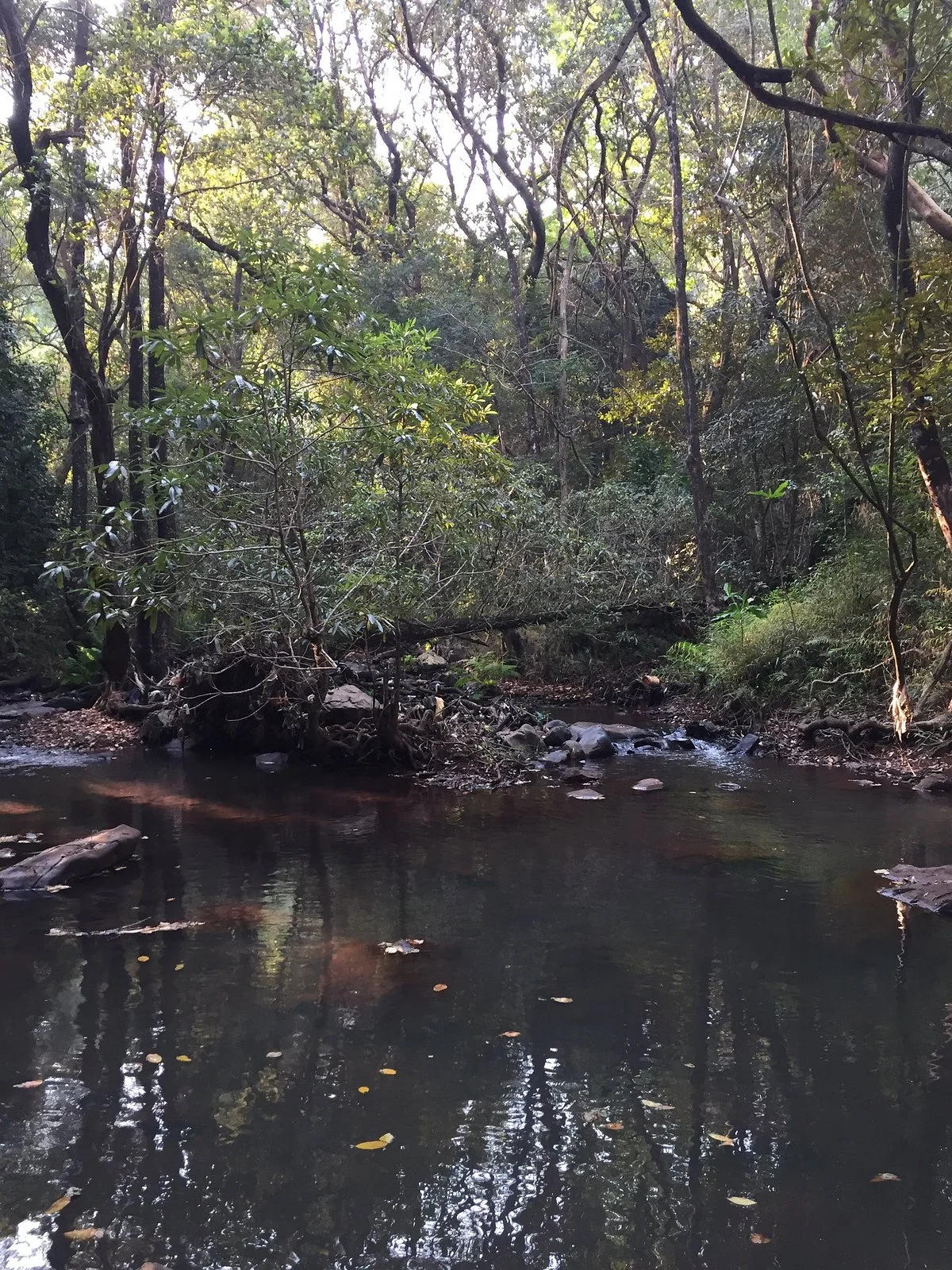 Phiphidi Waterfall