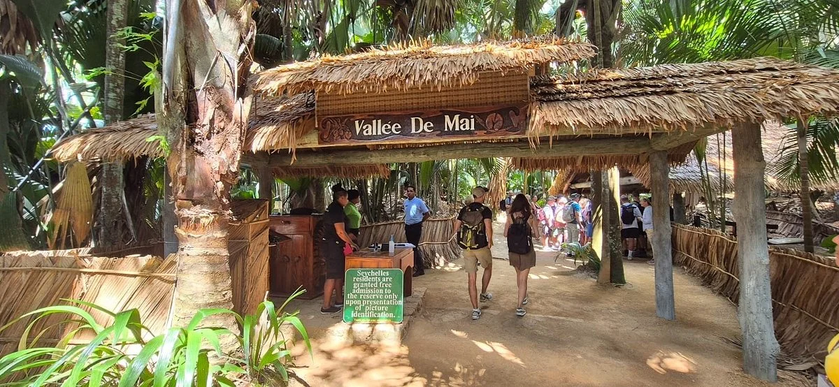 Vallée de Mai Nature Reserve