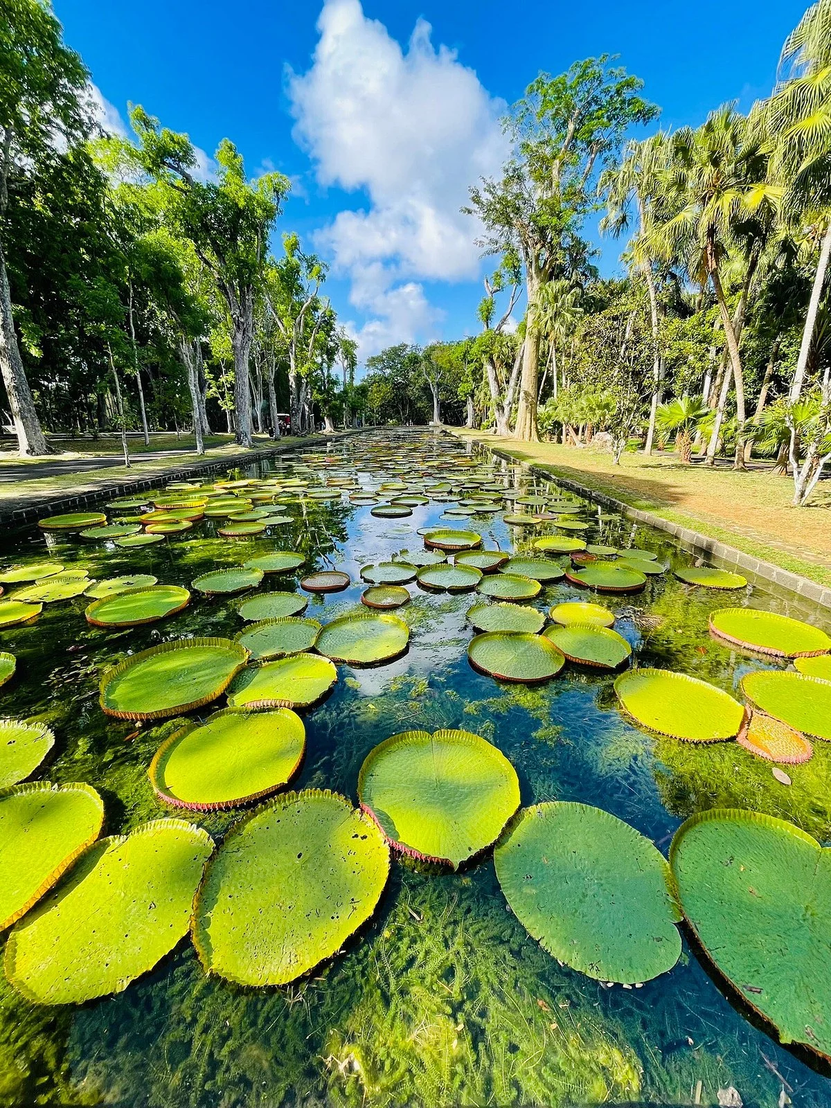 SSR Botanic Garden
