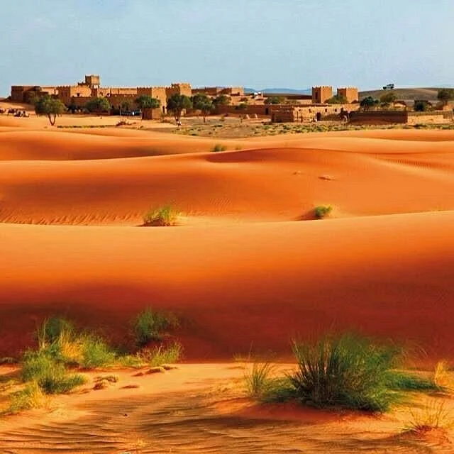 The Lake of Merzouga