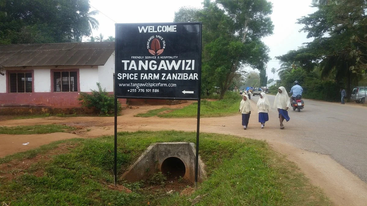 Tangawizi Spice Farm