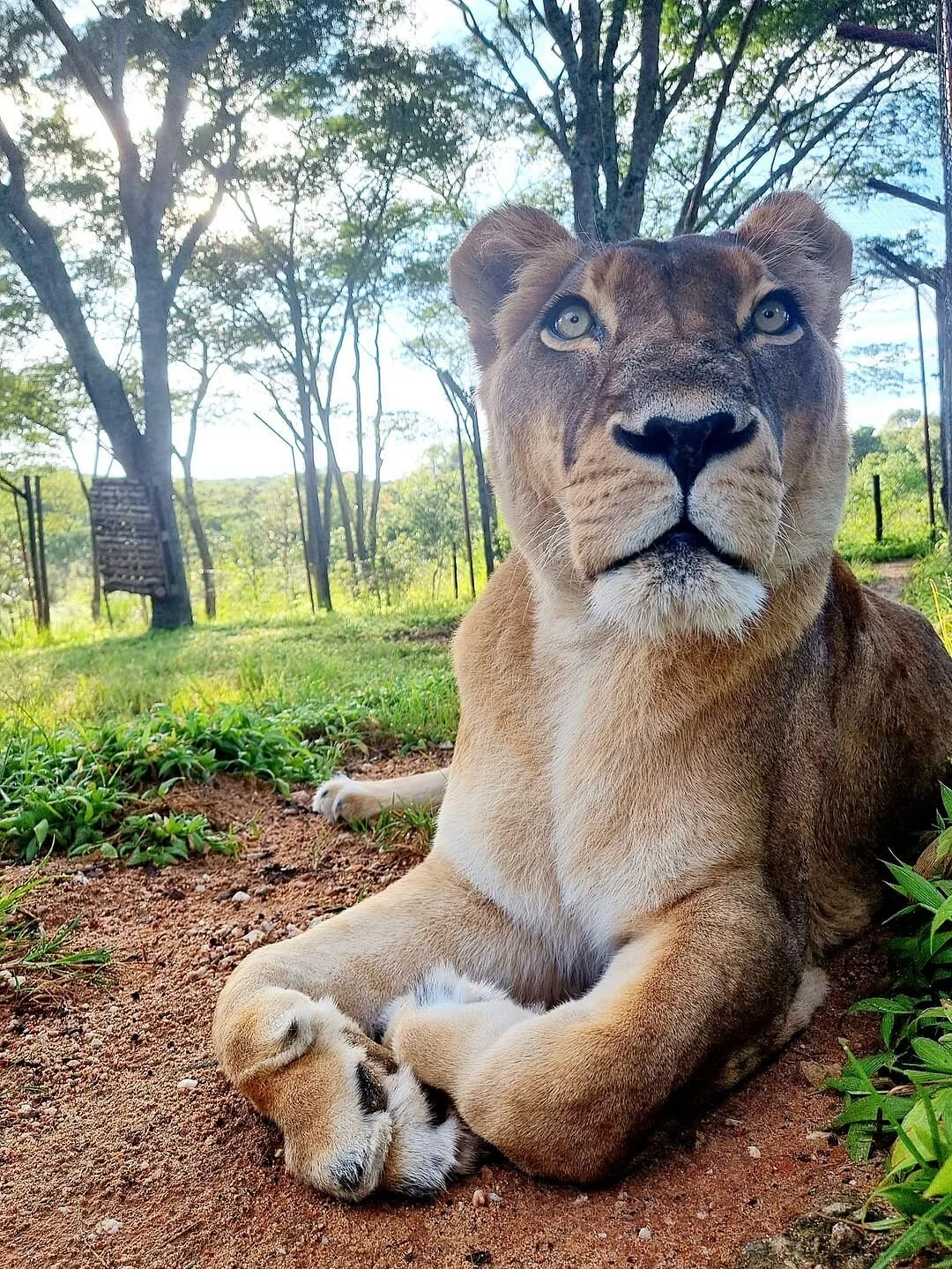 Twala Trust Animal Sanctuary