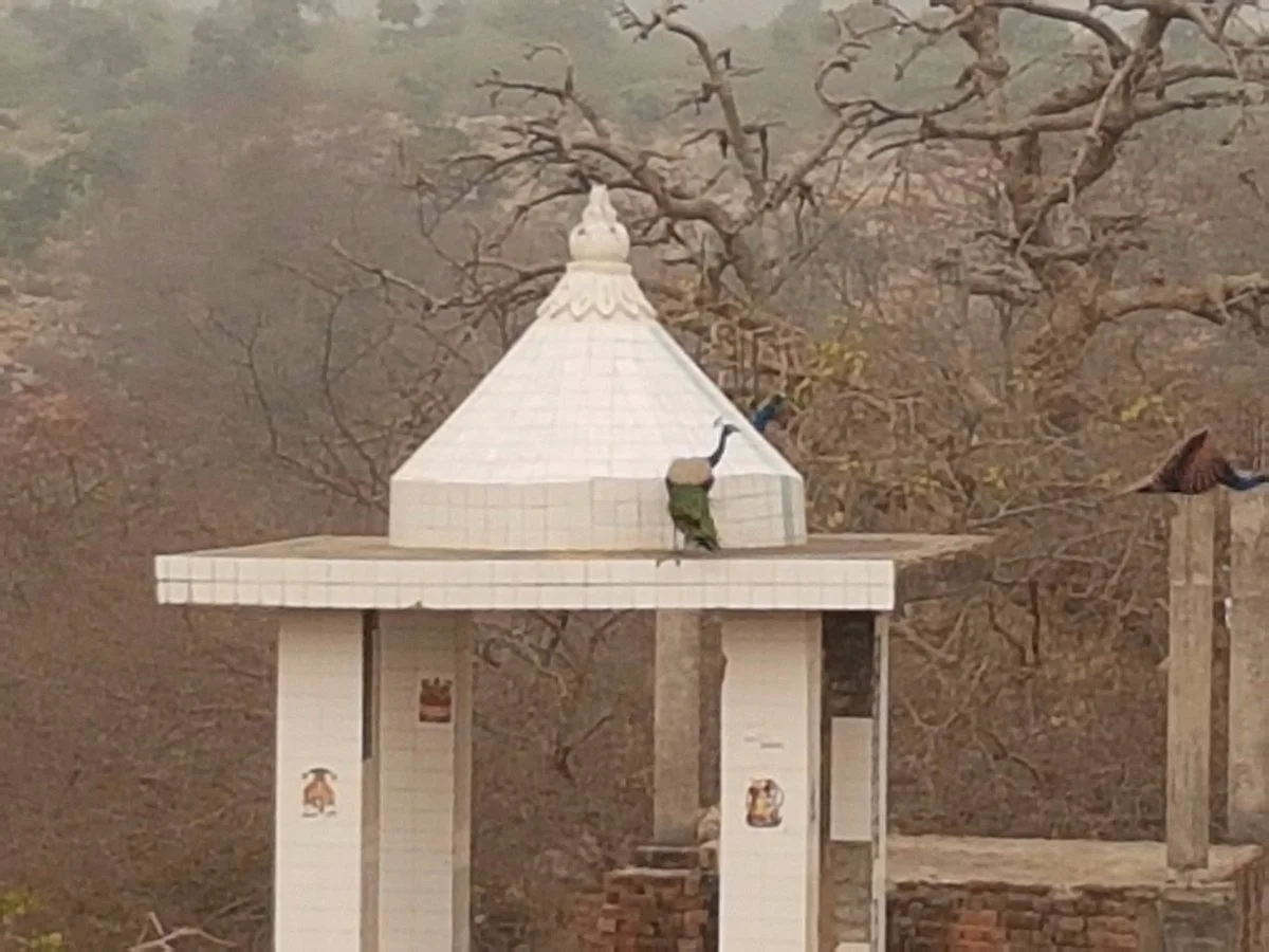 Parson Temple