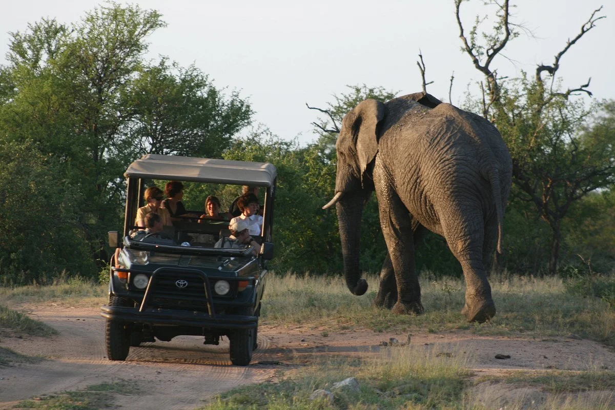 Tshukudu Game Lodge