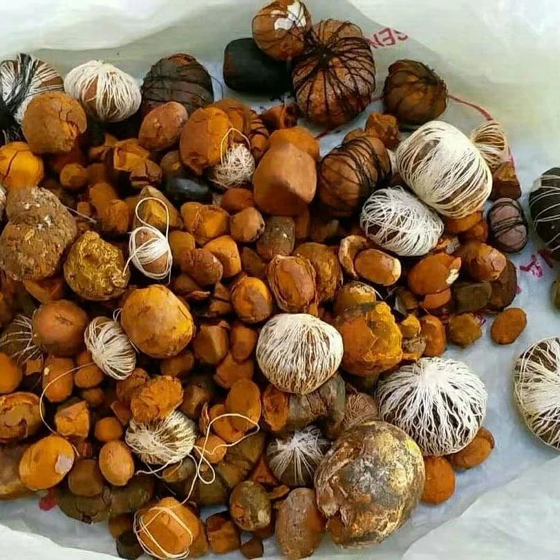 University of Zululand