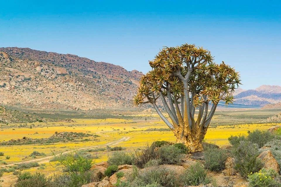 Namaqua National Park
