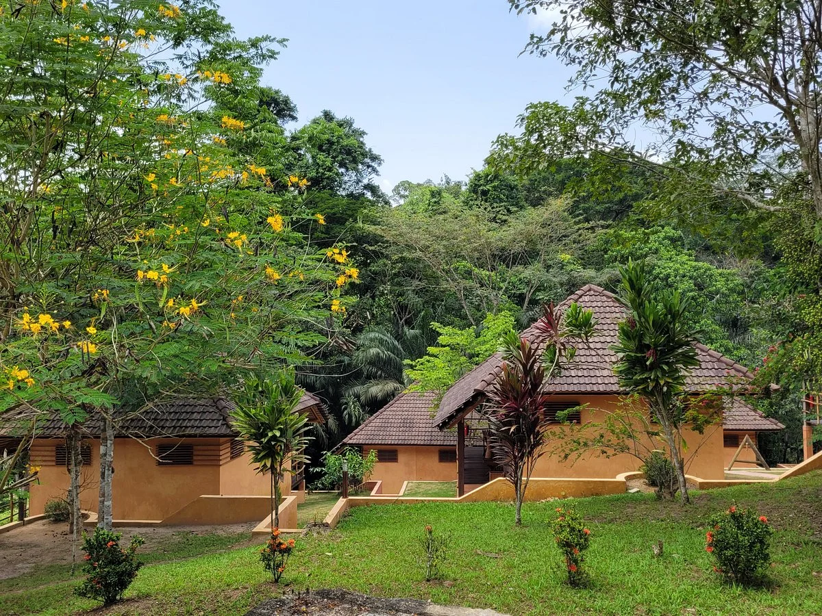 Ankasa Conservation Area