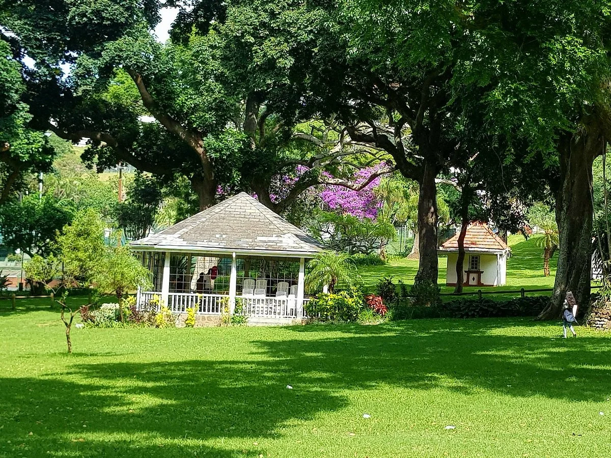 Mitchell Park