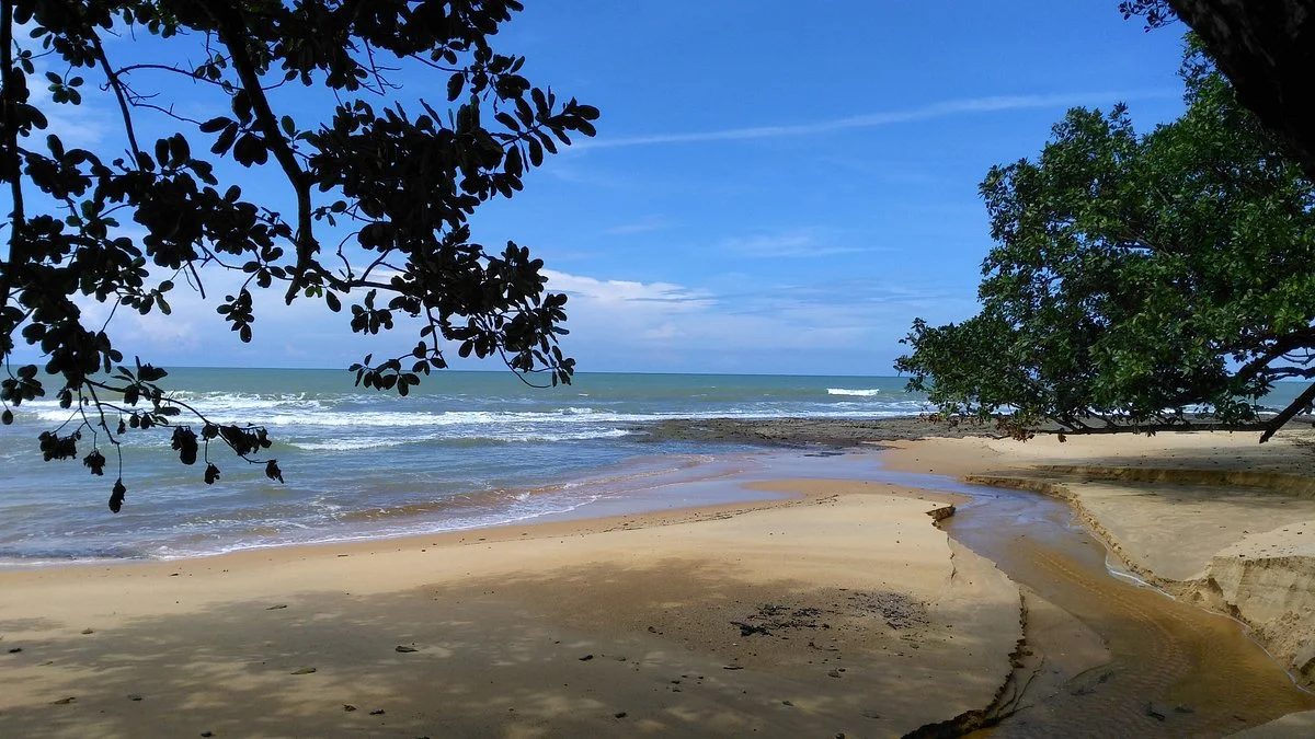 Similajau National Park