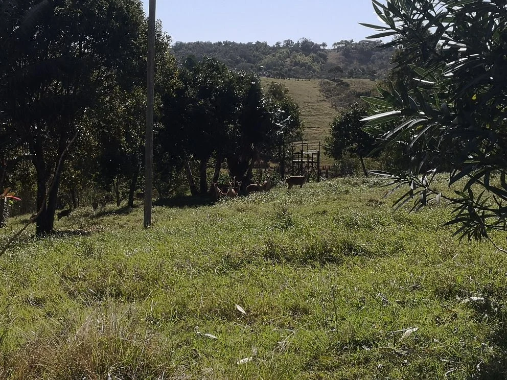 Lavilleon Natural Forest