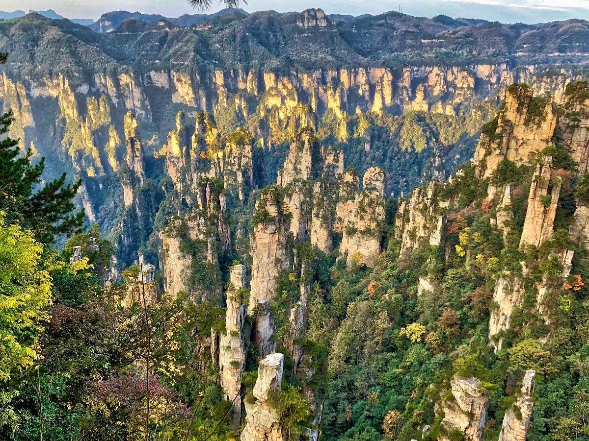 Tianzi Mountain