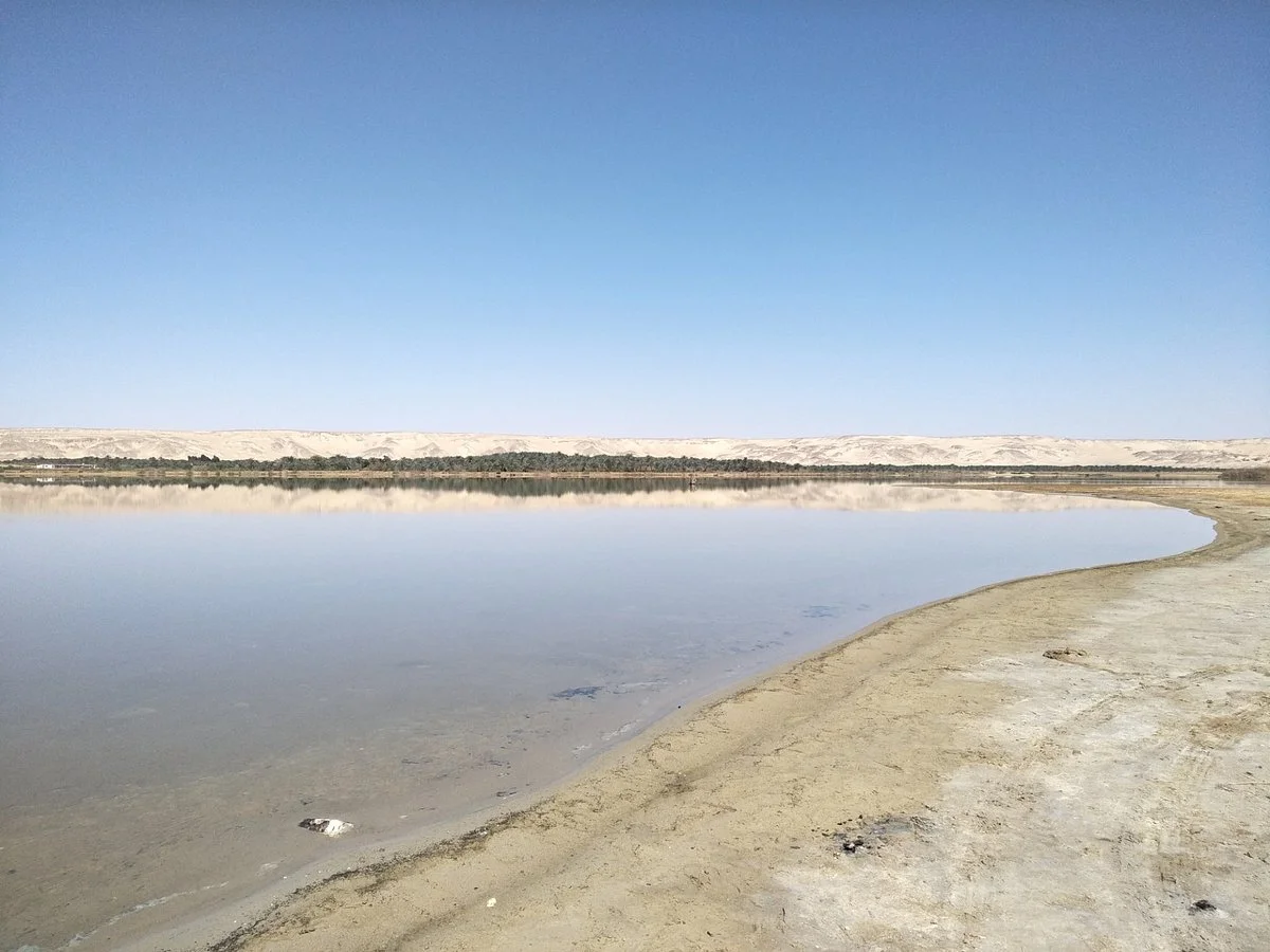 Bahariya Oasis Guide