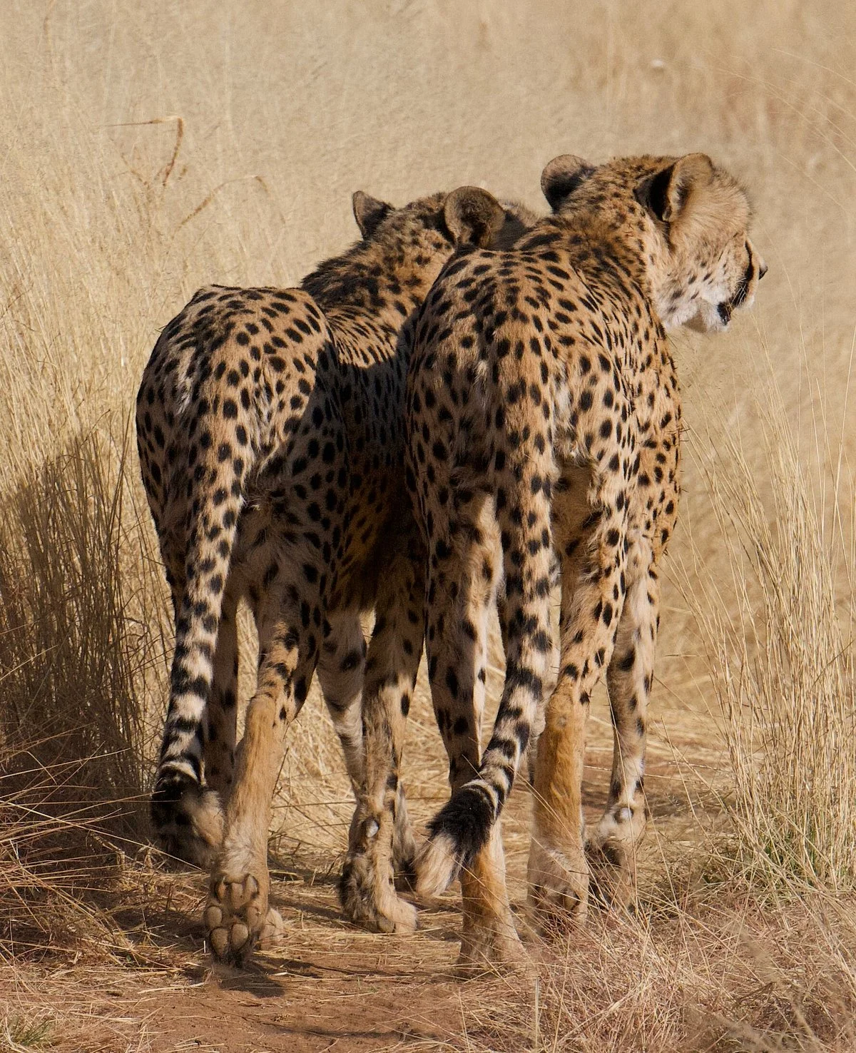 Naankuse Wildlife Sanctuary