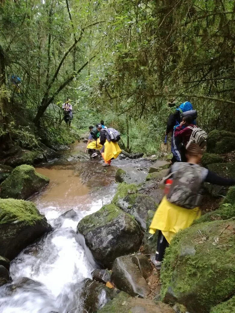 Magoebaskloof Hiking Trail