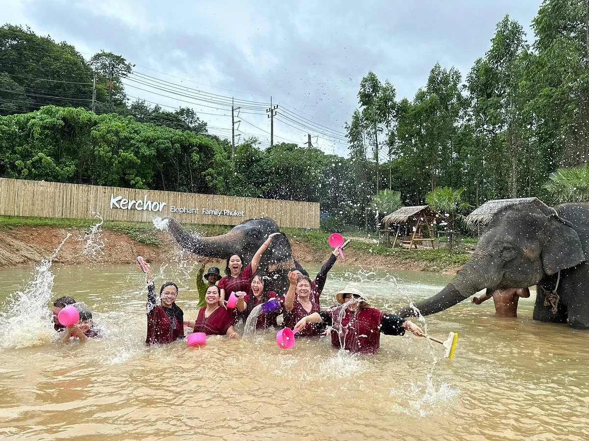 Elephant Family Phuket