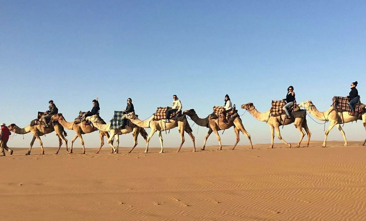 Swakopmund Camel Farm