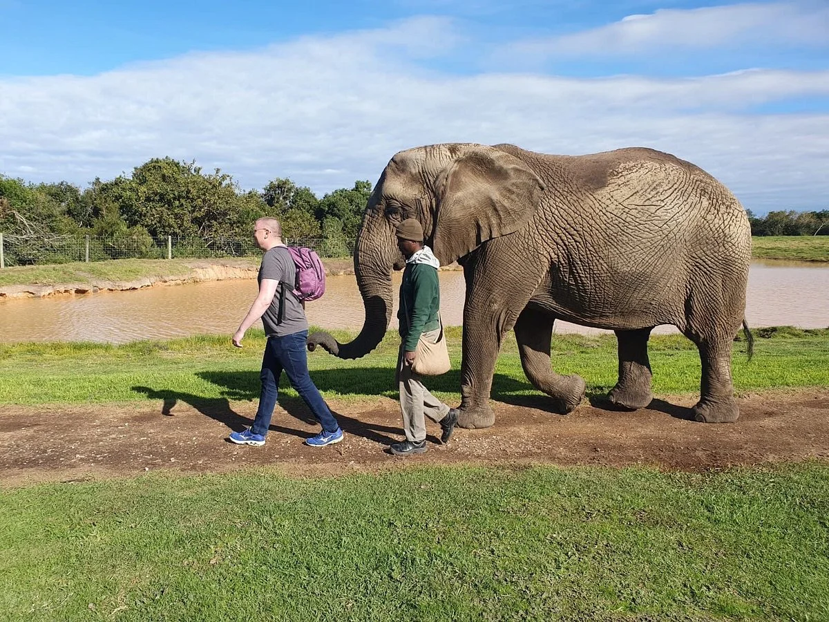 Elephant Sanctuary The Crags