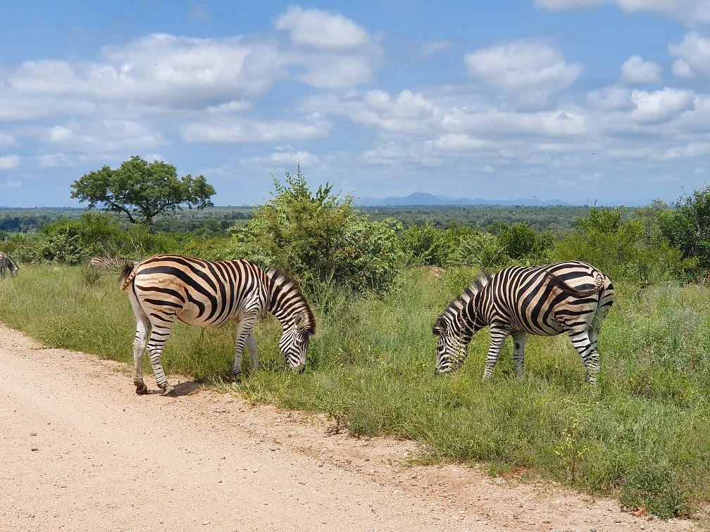 Malelane Gate, Kruger National Park