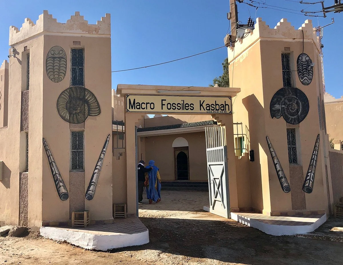 Macro Fossiles Kasbah