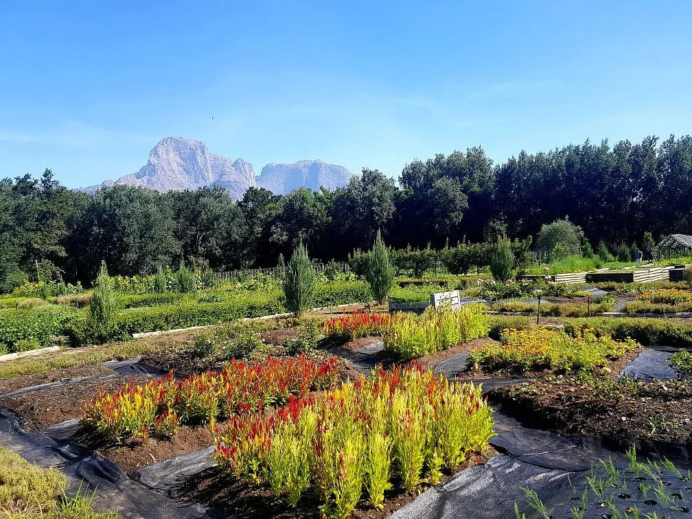 Boschendal