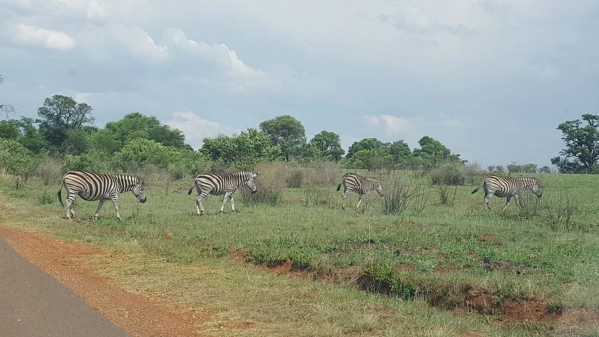Rietvlei Nature Reserve