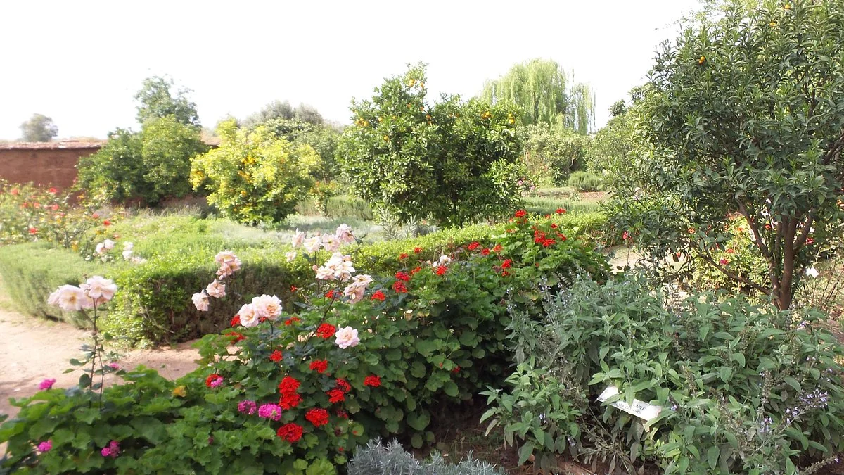 Le Jardin du safran