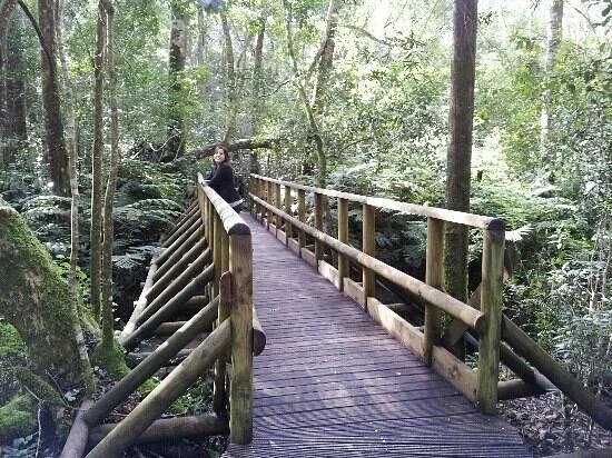 Garden of Eden