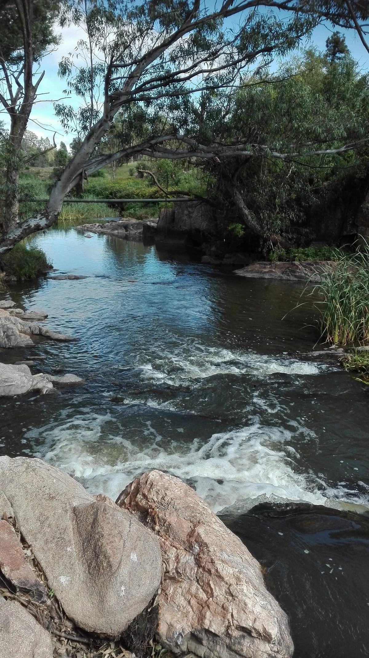 Modderfontein Reserve