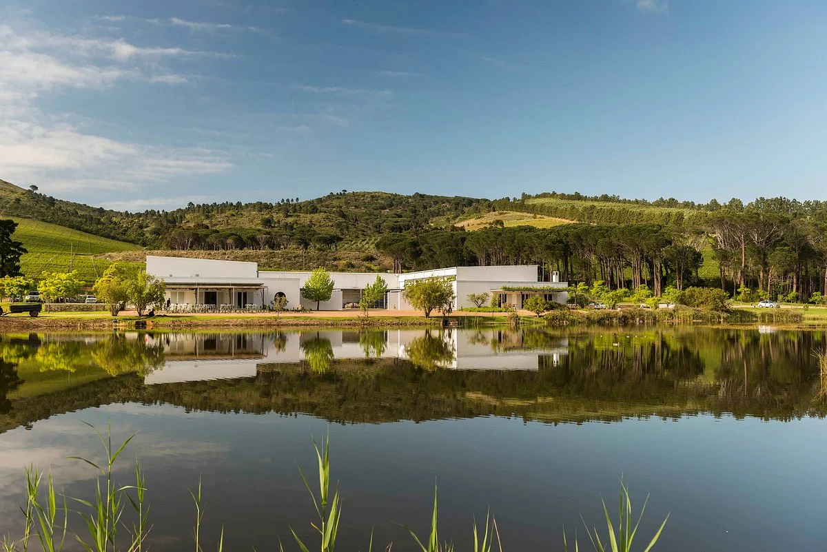 Morgenster Wine Farm and Olive Estate