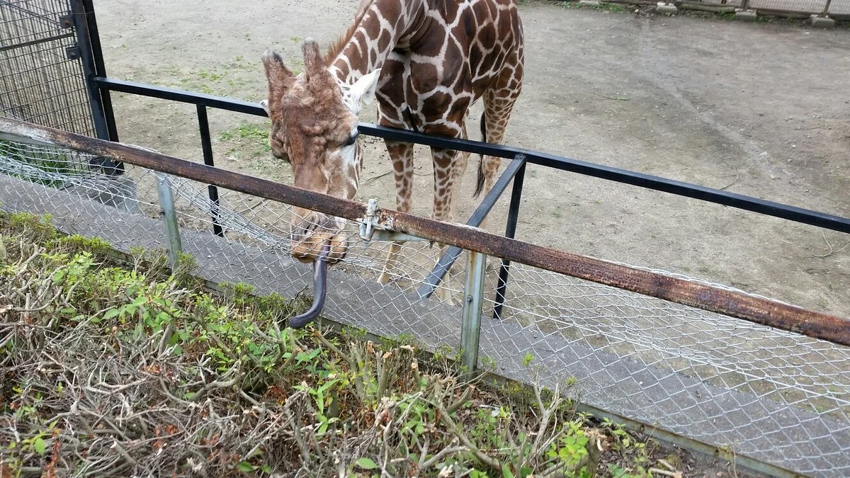 Morioka Zoological Park